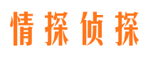 黄龙找人公司